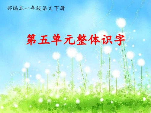人教部编版一年级下册语文课件-第五单元整体识字(共27张PPT).ppt