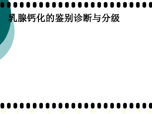 乳腺钙化的诊断与分级