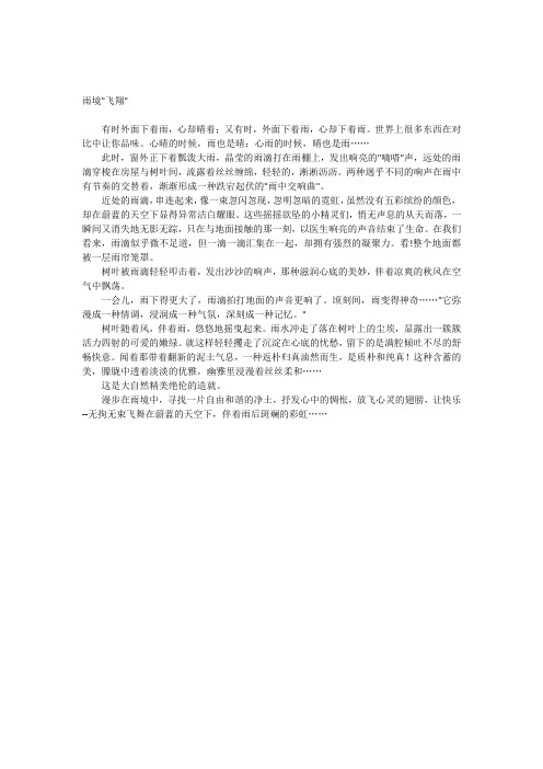 雨境飞翔