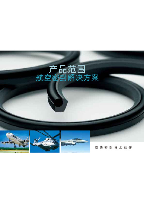 航空密封解决方案计划计划新