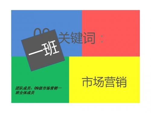 调查报告的PPT展示