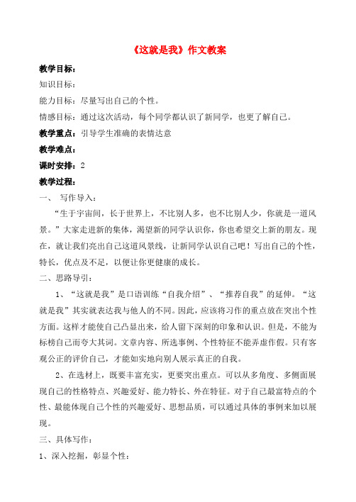 作文教案：这就是我
