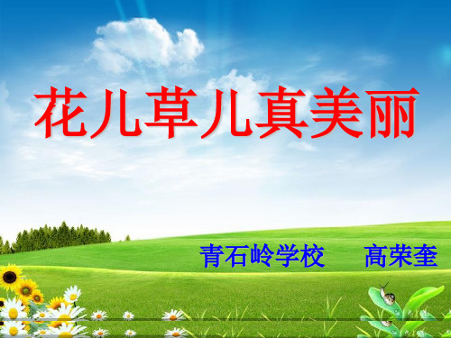 道德与法治《花儿草儿真美丽》PPT课件-完美版10