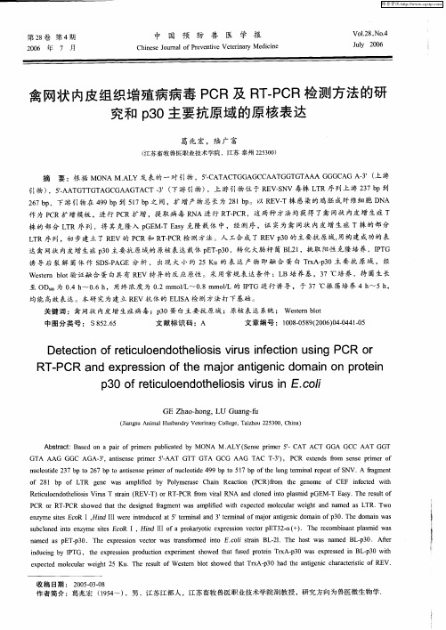 禽网状内皮组织增殖病病毒PCR及RT—PCR检测方法的研究和p30主要抗原域的原核表达