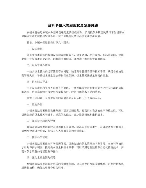 浅析乡镇水管站现状及发展思路
