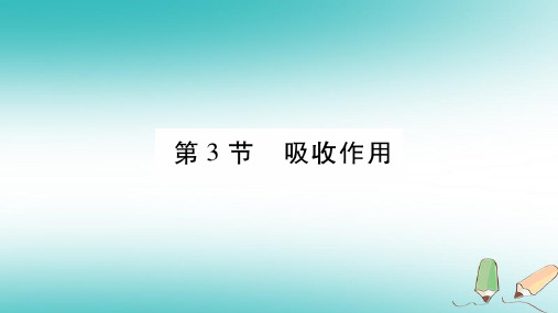 七年级生物上册第3单元第5章第3节吸收作用习题课件新版北师大版0917431