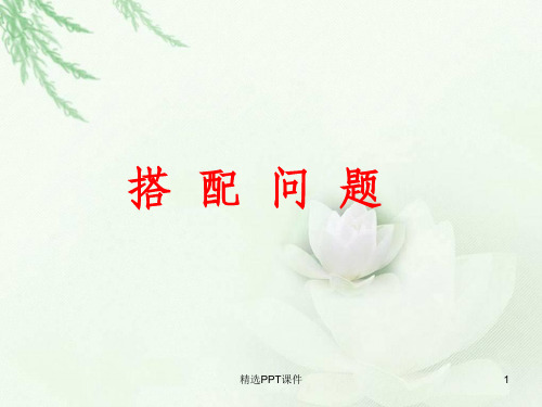 奥数讲座搭配问题ppt课件