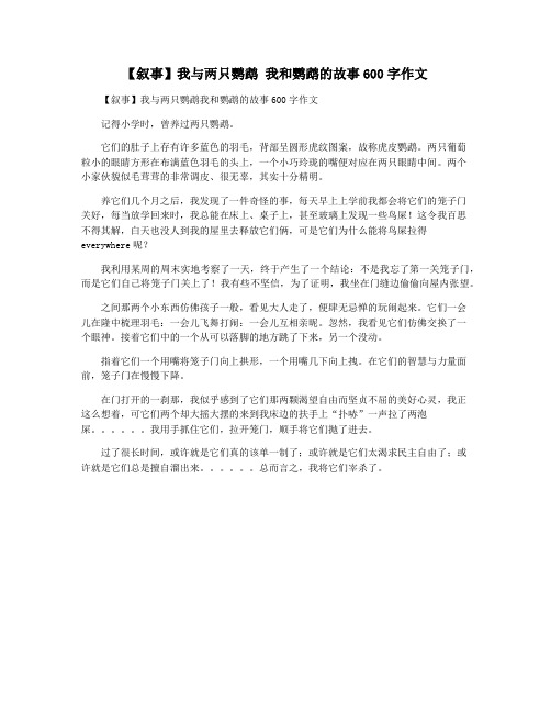 【叙事】我与两只鹦鹉 我和鹦鹉的故事600字作文