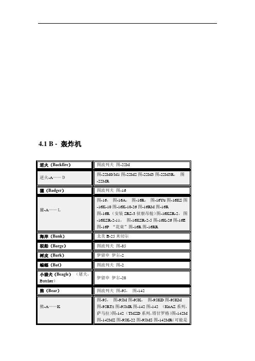 俄国系列飞机介绍