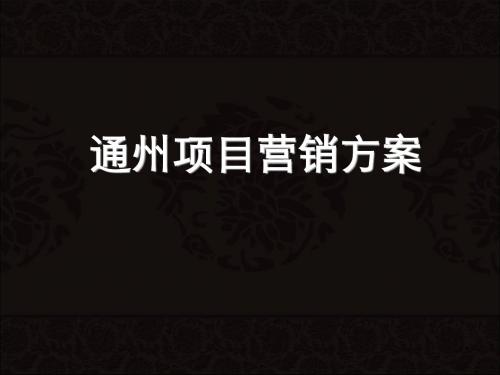 2019年北京市通州项目营销方案