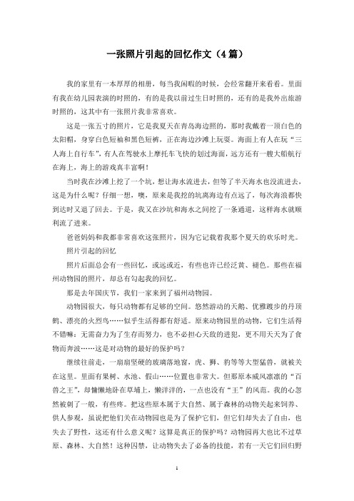一张照片引起的回忆作文(4篇)