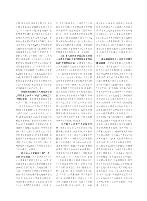 玉门市人大常委会机关党支部赴小金湾乡龙泉村开展“脱贫攻坚党员在行动”主题党日活动