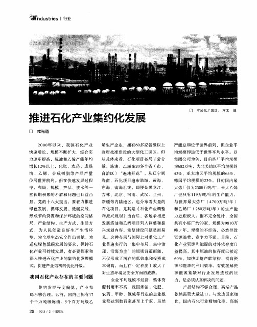 推进石化产业集约化发展