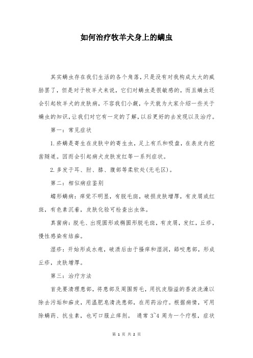 如何治疗牧羊犬身上的螨虫