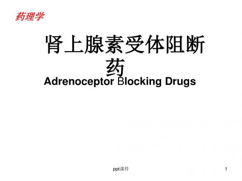 药理学--肾上腺素受体阻断药  ppt课件