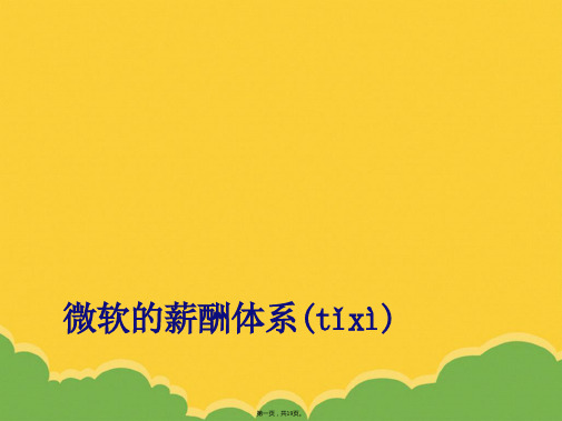 微软的薪酬管理体系标准版文档