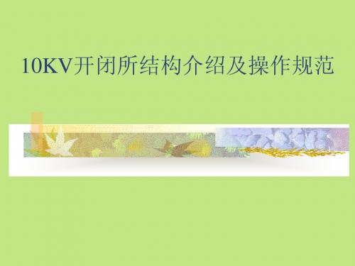 10KV开闭所结构及操作规范