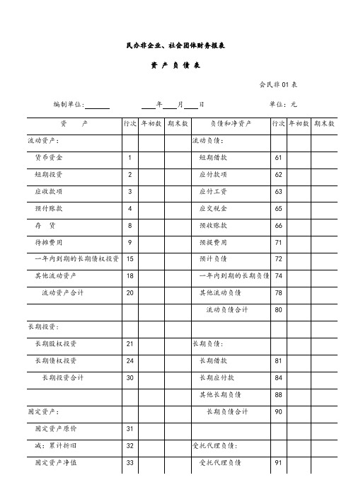 社会团体财务报表---精品管理资料