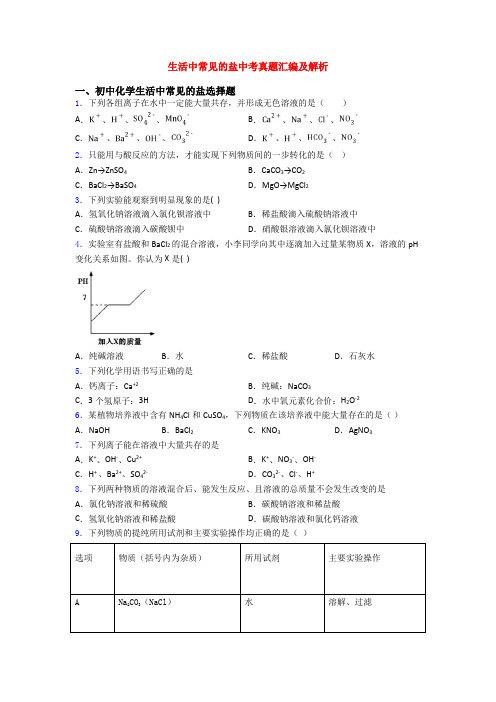 生活中常见的盐中考真题汇编及解析