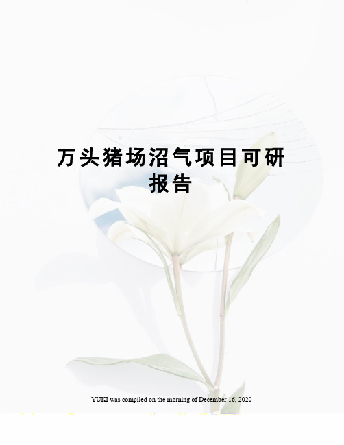 万头猪场沼气项目可研报告