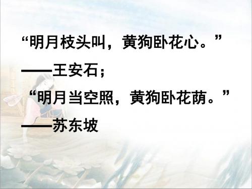 菱角的喜剧