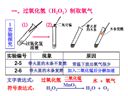 过氧化氢制取氧气