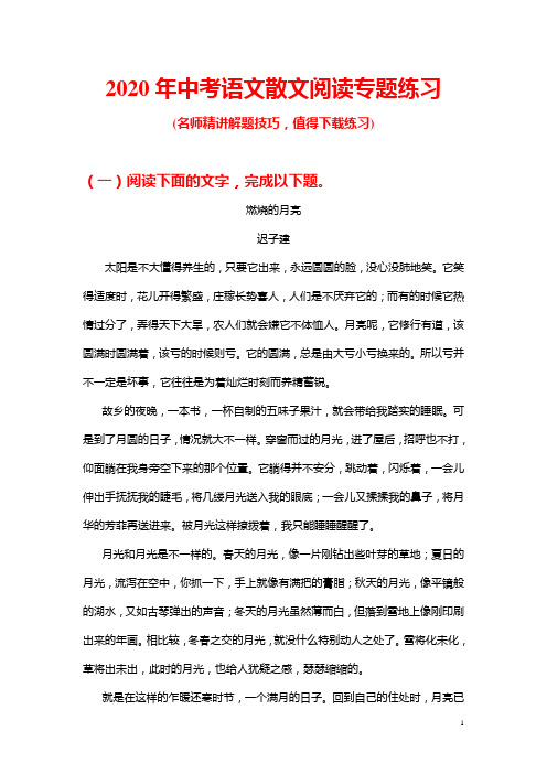 2020年中考语文散文阅读专题练习(推荐)