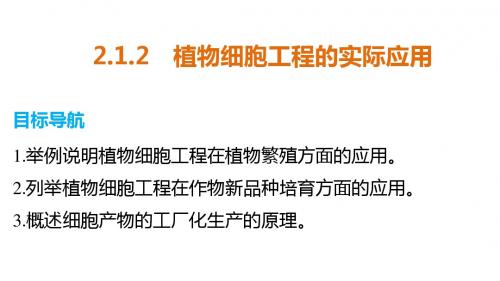 2015-2016学年高二生物人教版选修3课件：专题2 2.1.2 植物细胞工程的实际应用