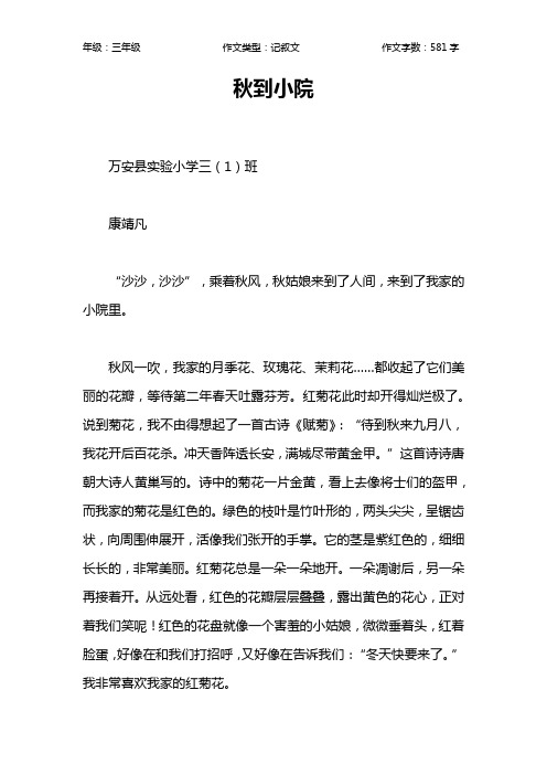 秋到小院作文【小学三年级600字】