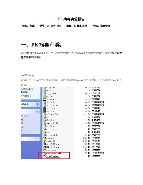 PE病毒实验报告