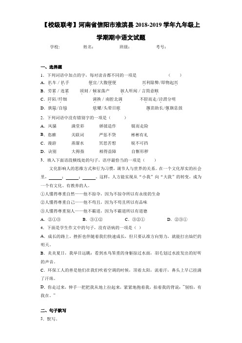 河南省信阳市淮滨县2020~2021学年九年级上学期期中语文试题(答案解析)