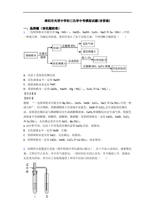 深圳市光明中学初三化学中考模拟试题(含答案)
