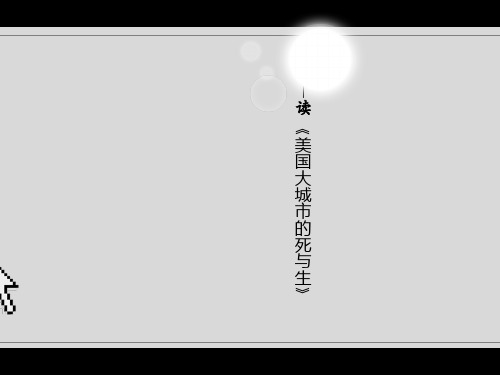美国大城市的死与生最终版