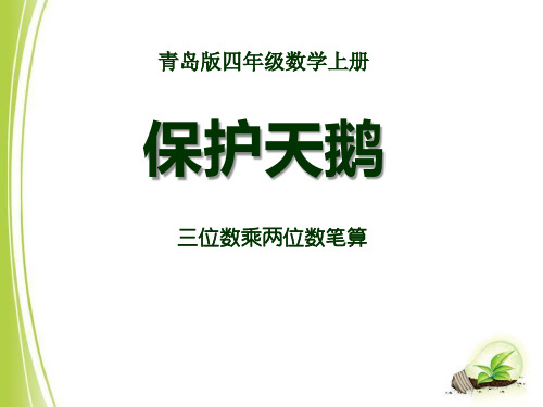 三位数乘两位数笔算青岛版四年级数学上册保护天鹅