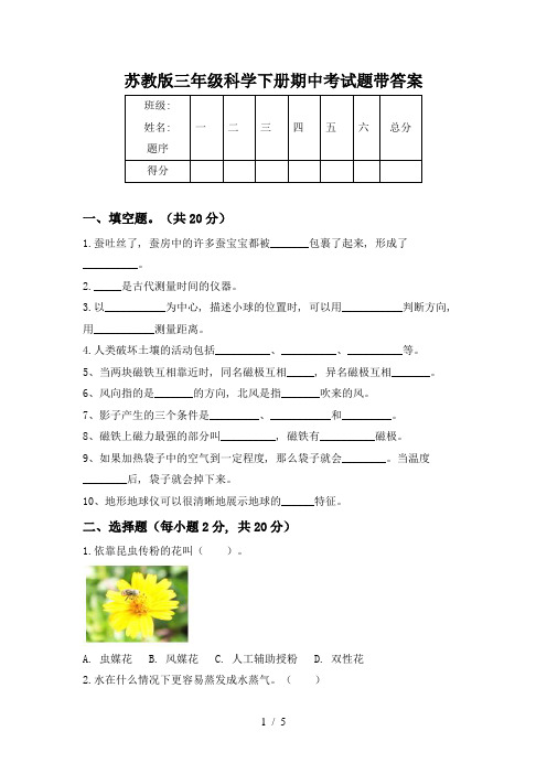 苏教版三年级科学下册期中考试题带答案