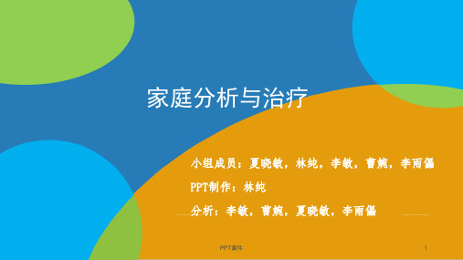 家庭分析与治疗  ppt课件
