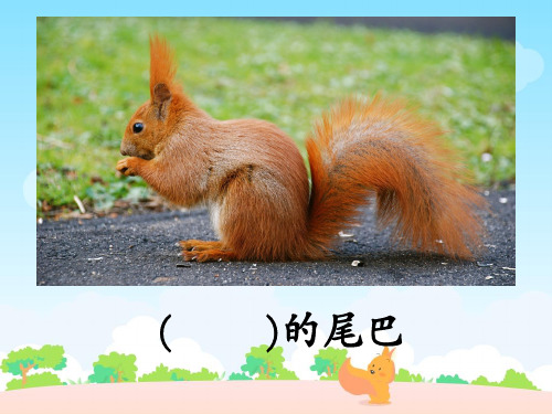 二年级上册语文课件-27 松鼠的尾巴丨沪教版(2015秋)(共27张PPT)