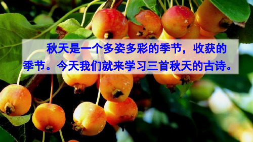 【部编版】三年级语文上册第二单元4 古诗三首
