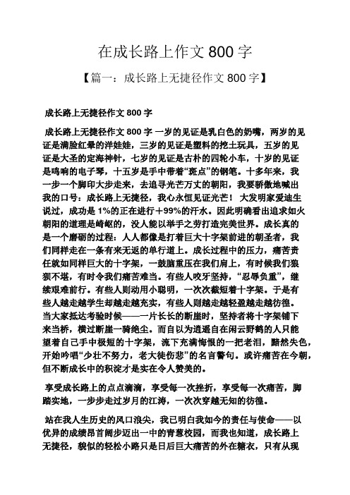 成长作文之在成长路上作文800字