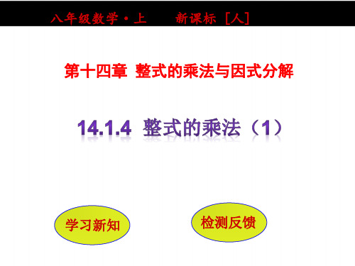 人教数学八年级上册课件：第十四章  整式的乘法与因式分解 14.1.4整式的乘法(第1课时) (2)