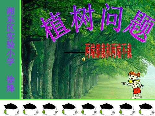 新人教版植树问题(两端不栽树和两端栽树)