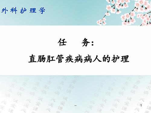 直肠和肛管疾病病人的护理ppt课件