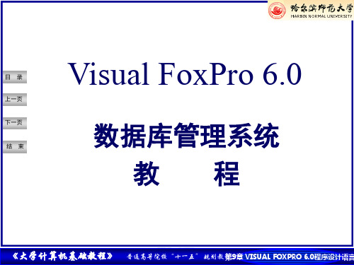 第9章 Visual FoxPro 6.0程序设计语言