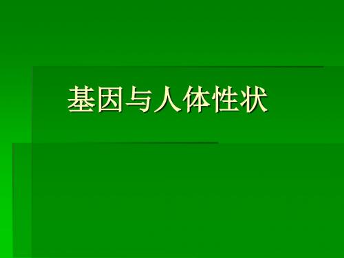第三节基因与人体性状