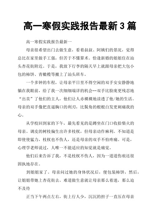 高一寒假实践报告3篇