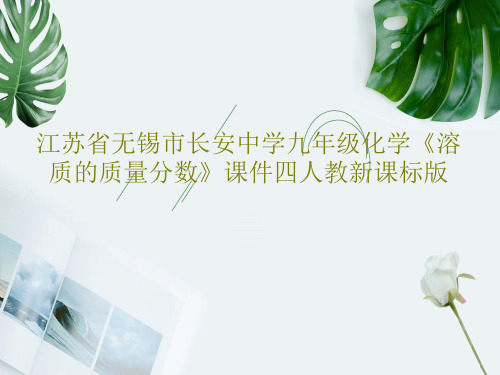 江苏省无锡市长安中学九年级化学《溶质的质量分数》课件四人教新课标版PPT35页