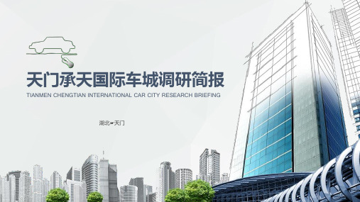 天门承天国际车城调研简报