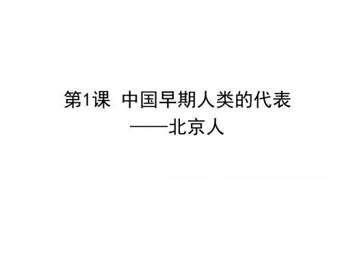 人教部编版七年级上册第1课 中国早期人类的代表——北京人(共19张PPT)