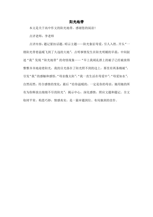 阳光地带_高中作文