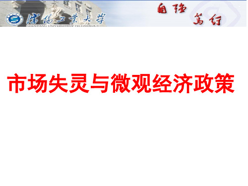 市场失灵与微观经济政策PPT